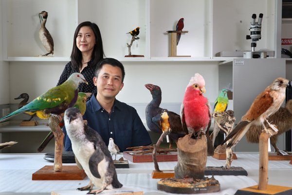 Dr Jacqueline Nguyen & Prof Simon Ho