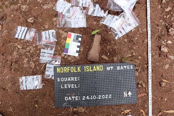 Norfolk Island Polynesian adze