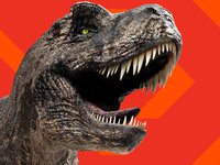 Why Dinosaurs at the Australian Museum?